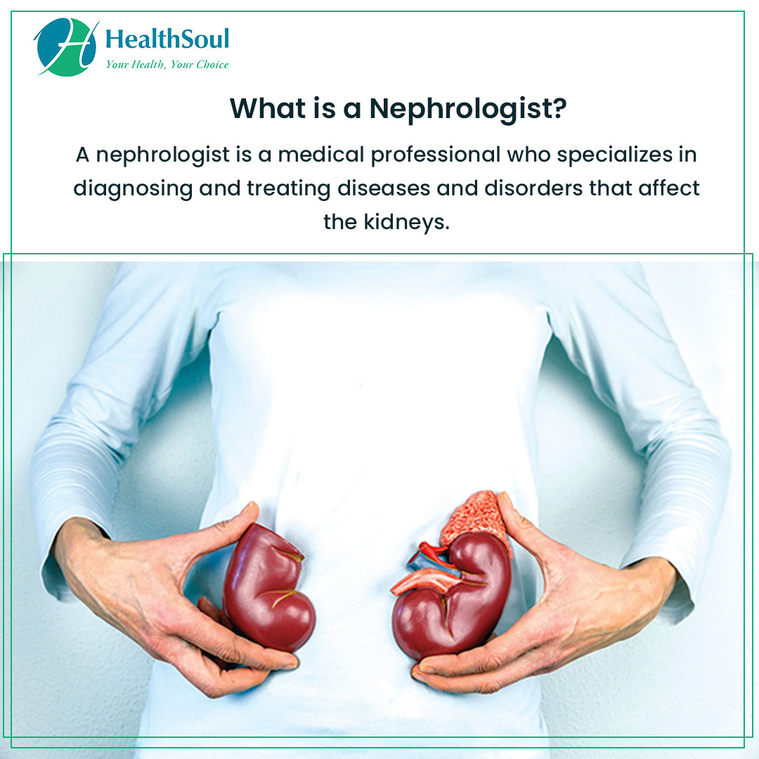 Urology Meaning Urology Meaning