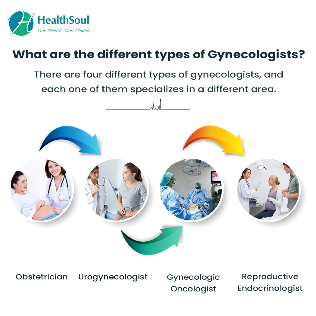 Learn About Gynecologists Conditions They Treat And When To See One Healthsoul